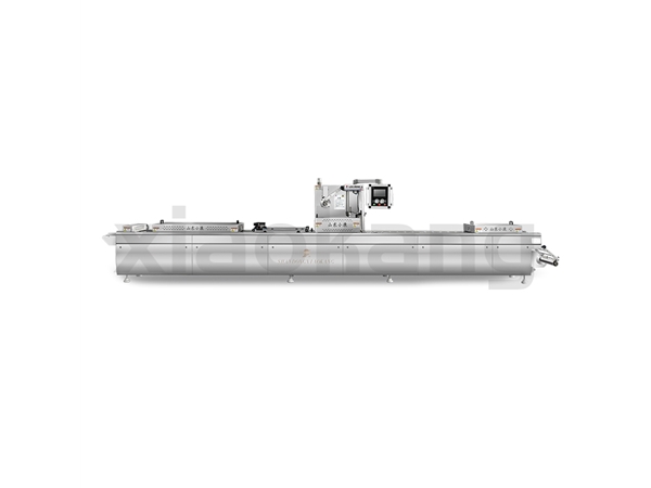 DLZ-420E全自动连续拉伸真空包装机